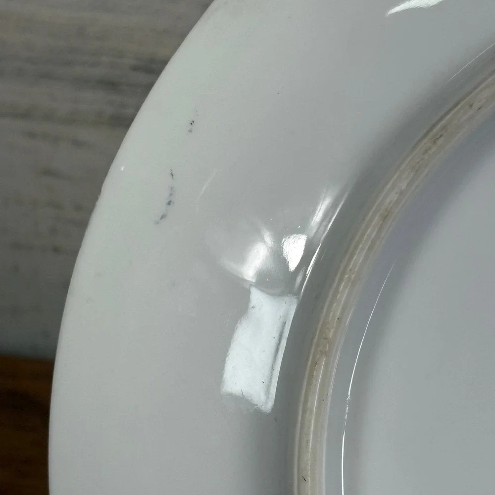 Antique Bavarian Germany 1915 Tirschenreuth‎ Porcelain Dinner Plate Signed 8.5